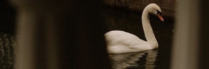 __XIIIQ's profile banner image
