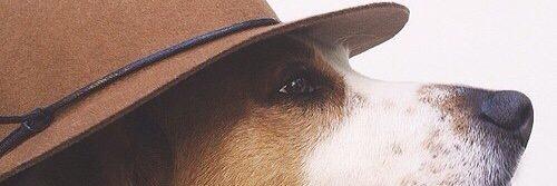 uxuw's profile banner image
