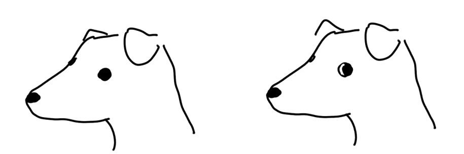 _wyyborn's profile banner image