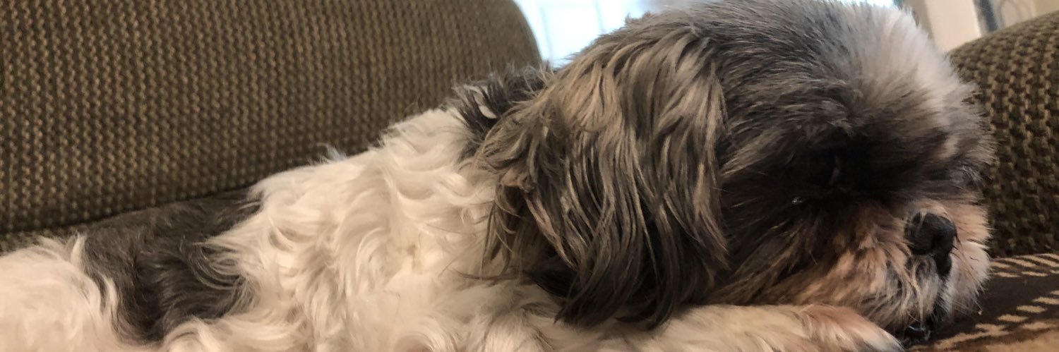 presleyjamss's profile banner image