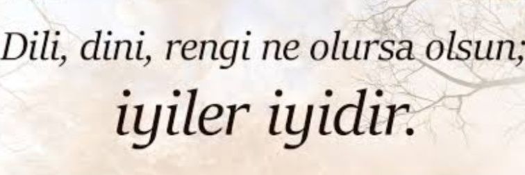 Bülent Aşılıoğlu 🇹🇷🔆 banner