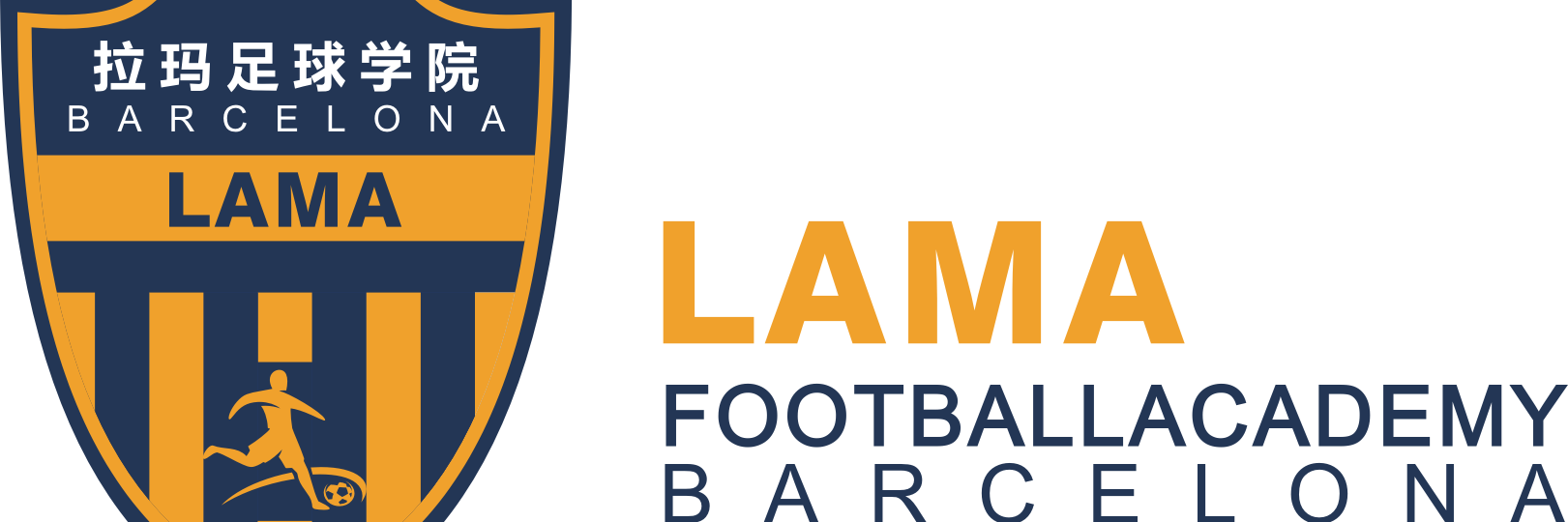 LAMAFootballAcademy banner