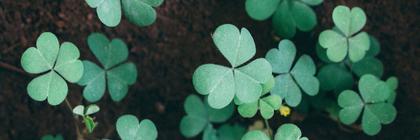 Ekaterina Bestsennaia banner
