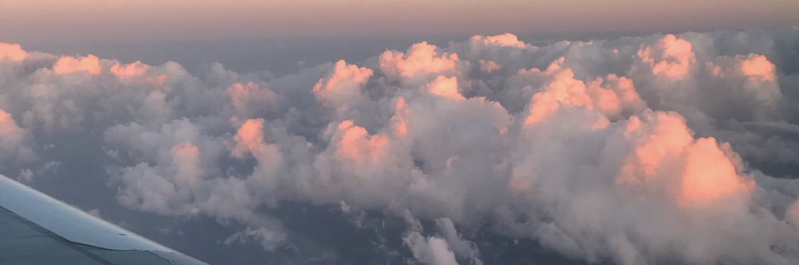 alyceeebabbby's profile banner image