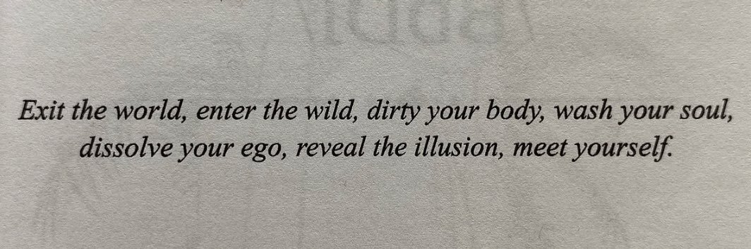 roroanoa zoro’s muse banner