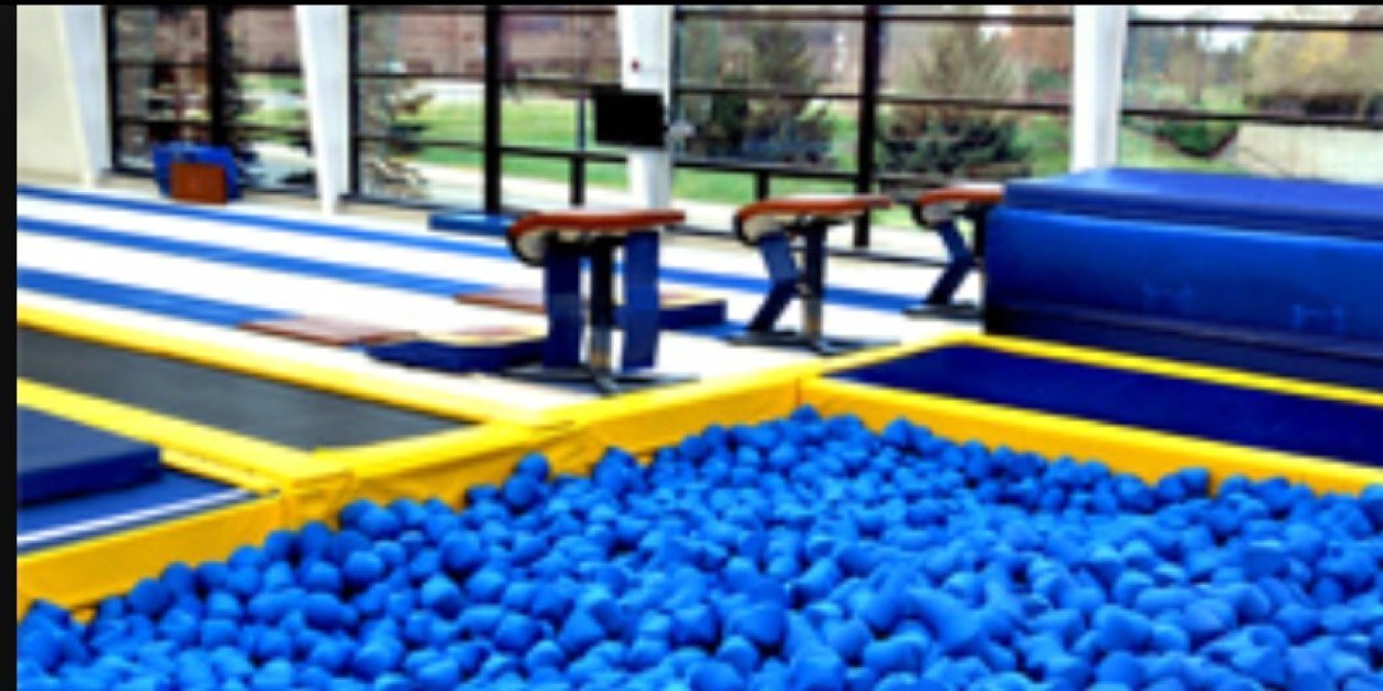 Beverly Plocki banner