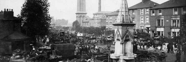 Layton Collection banner