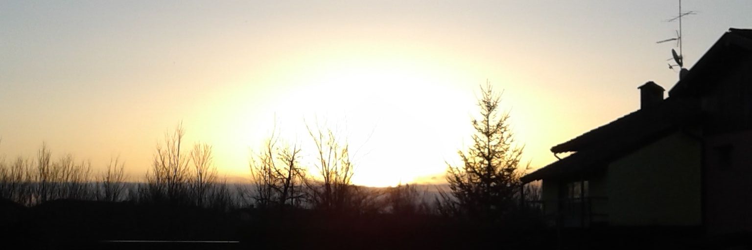 MiryG2's profile banner image