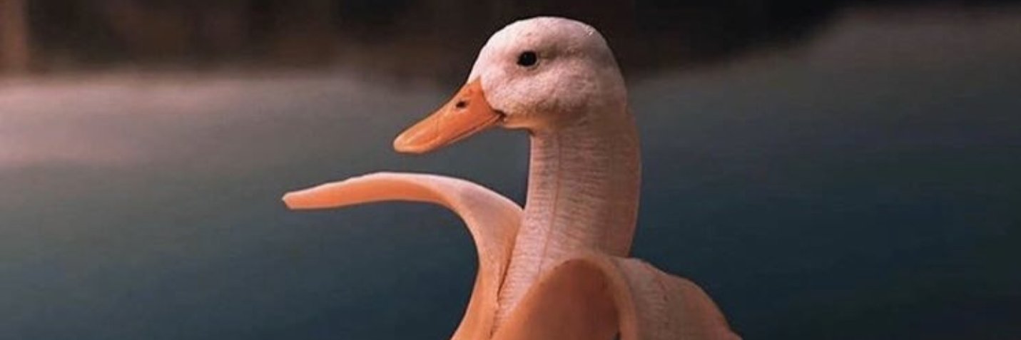 Rare_Ben's profile banner image