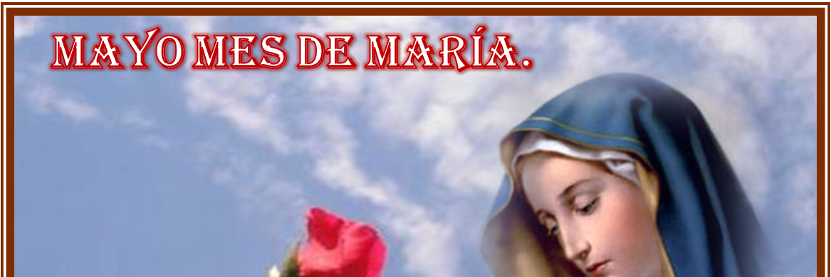 catolicossanto1's profile banner image