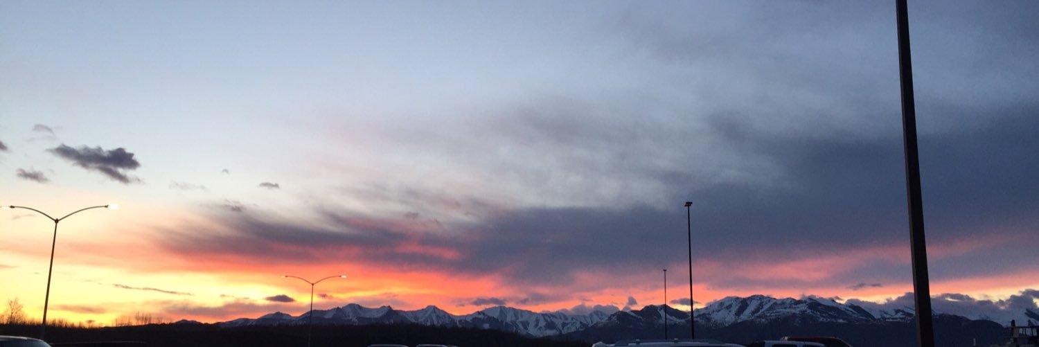 Blanco Gringo banner