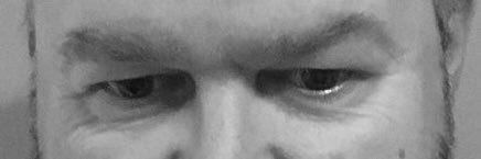 dabunnyman's profile banner image