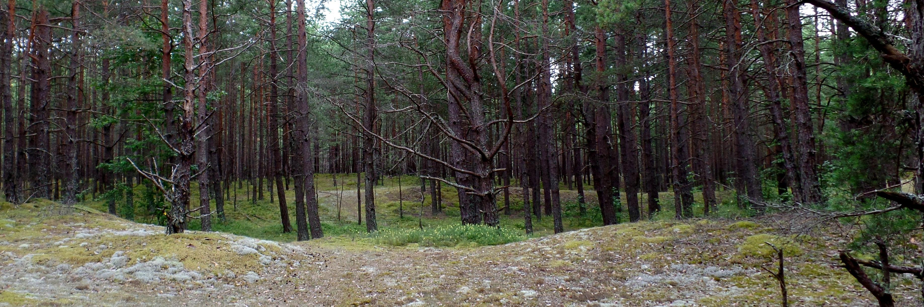 Я люблю гундеть по ночам banner