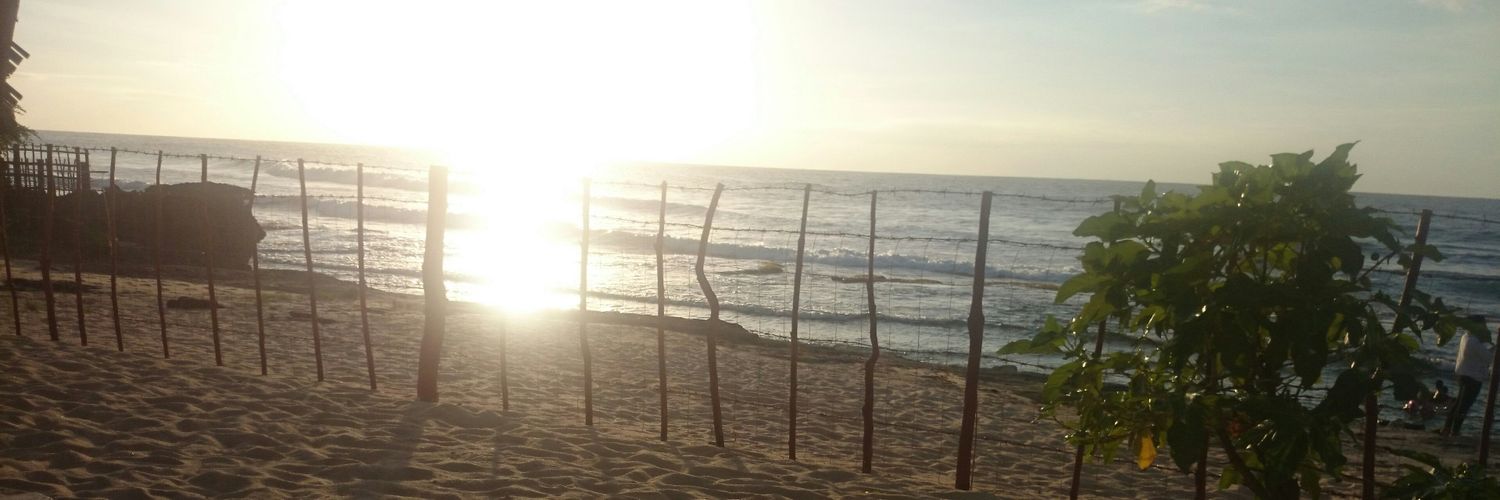 jackieyui's profile banner image