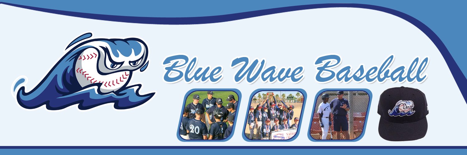 BLUE WAVE BASEBALL banner