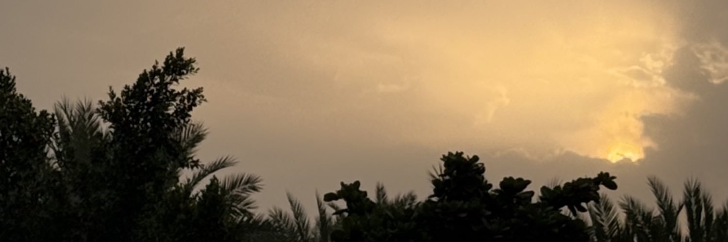 Evolcactus's profile banner image