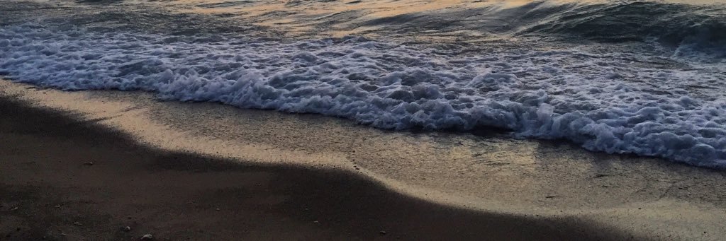 TaylorSalih3's profile banner image