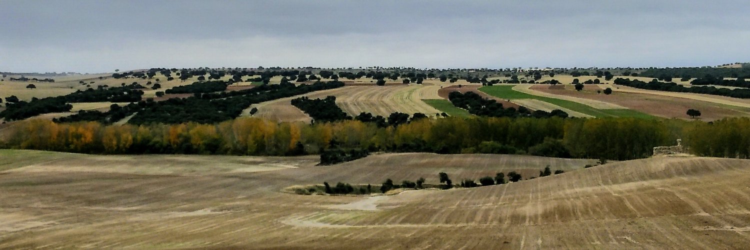 V Cruz Alonso banner