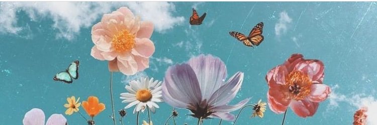amberbuckles's profile banner image