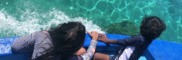 nadhoo Profile Banner