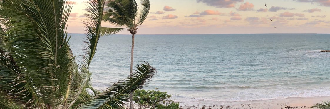 LuizGomesJr's profile banner image