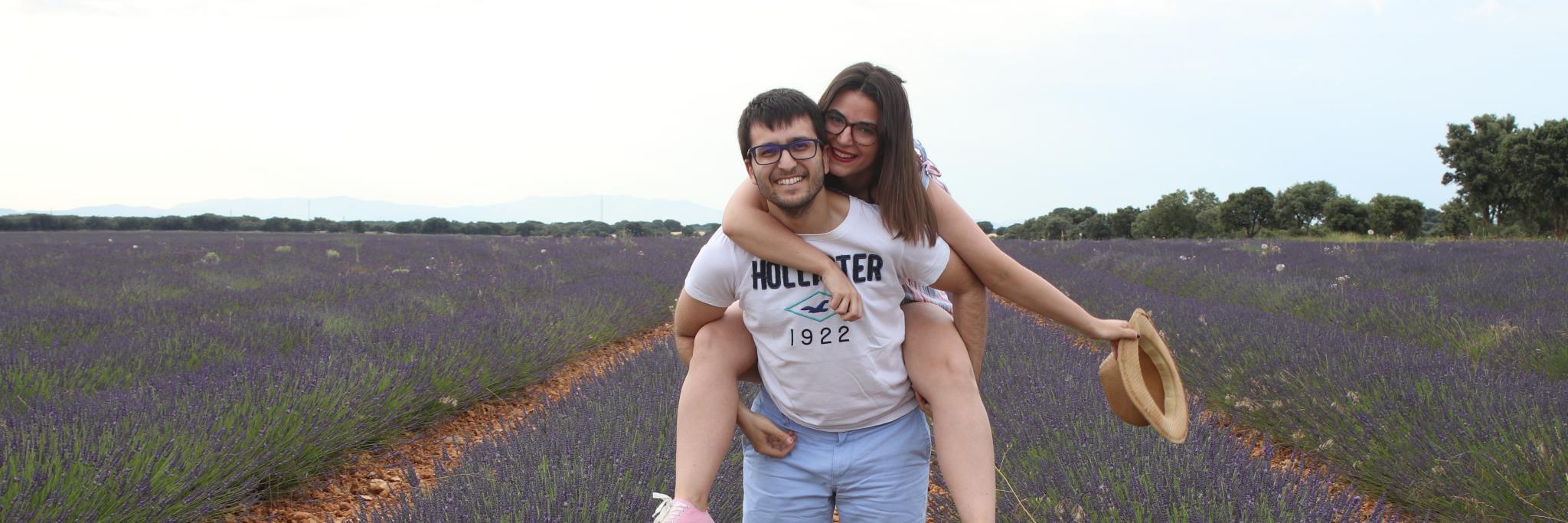 Seguir Viajando banner