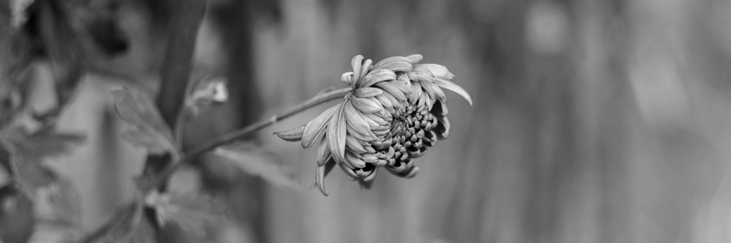 KtwelveA's profile banner image