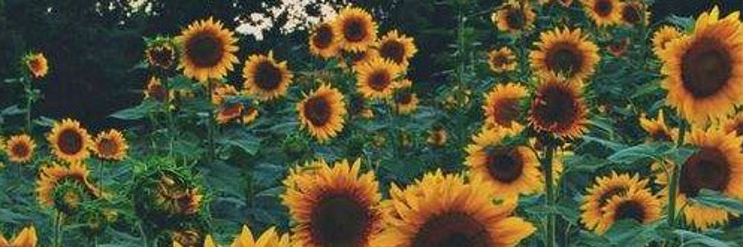 tattoosofthesky's profile banner image