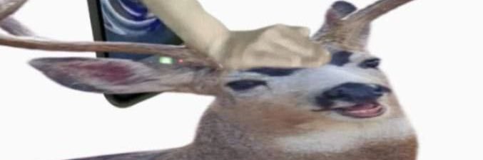 Fel banner
