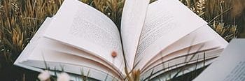 WriterOfThalia's profile banner image