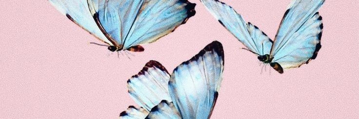 lieseMarie1228's profile banner image