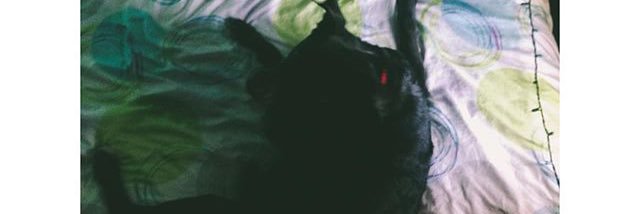 _hey_itsbrooke's profile banner image
