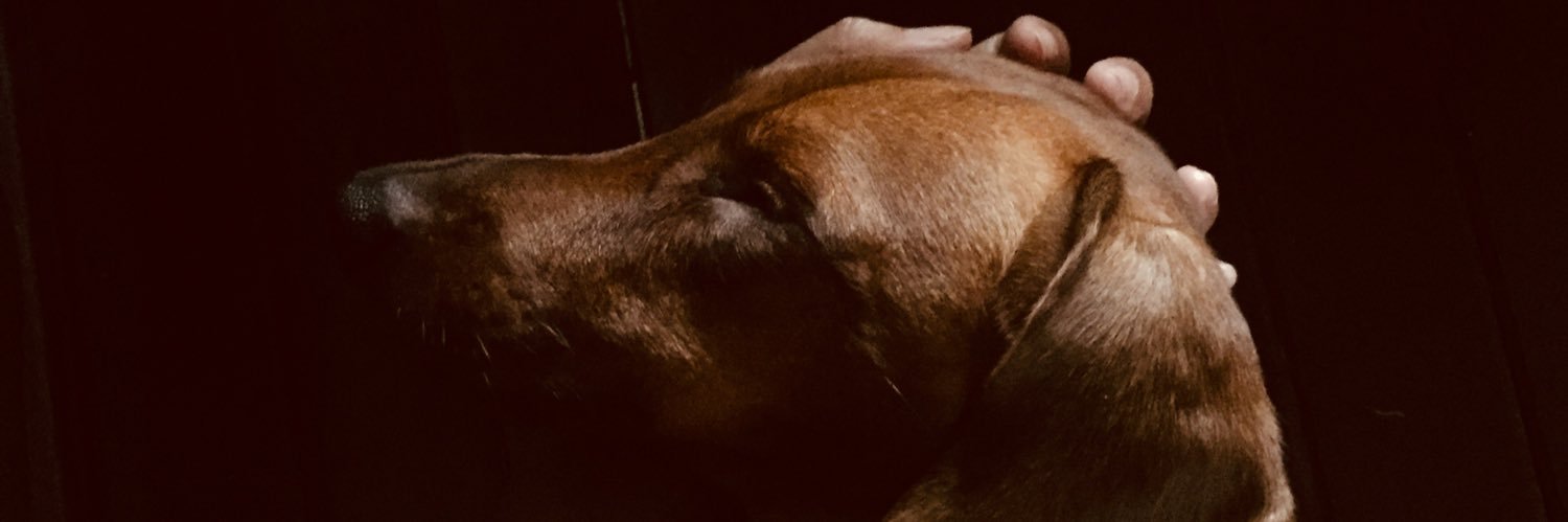 DeoHannah's profile banner image