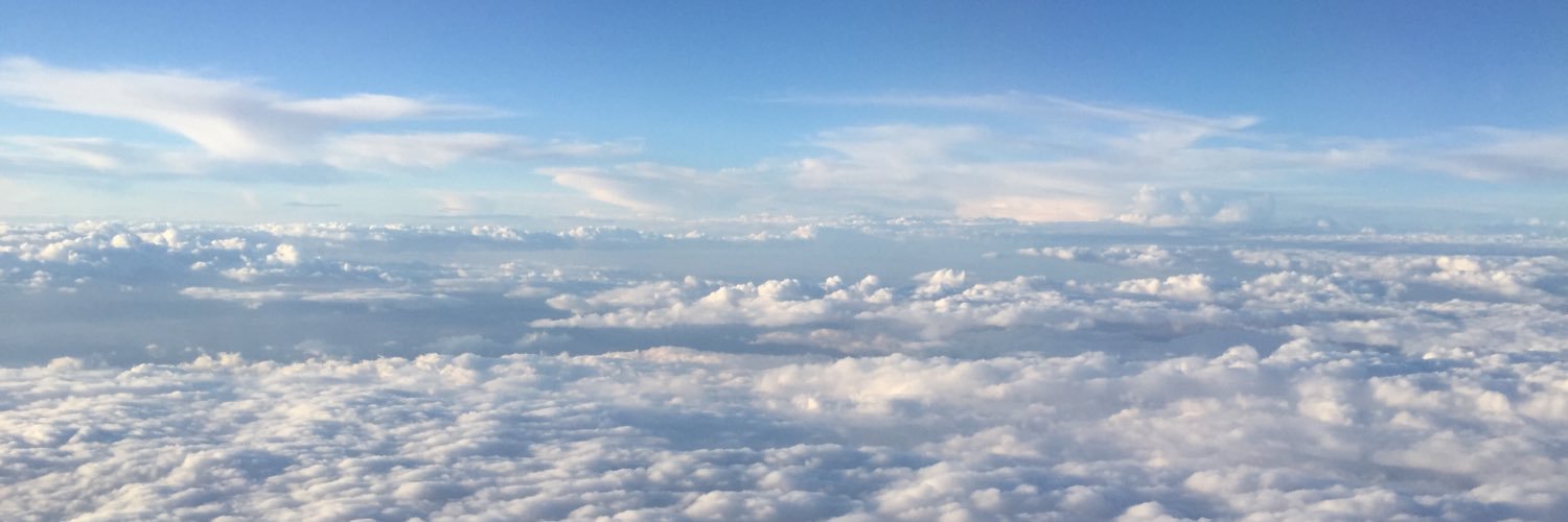 Will banner