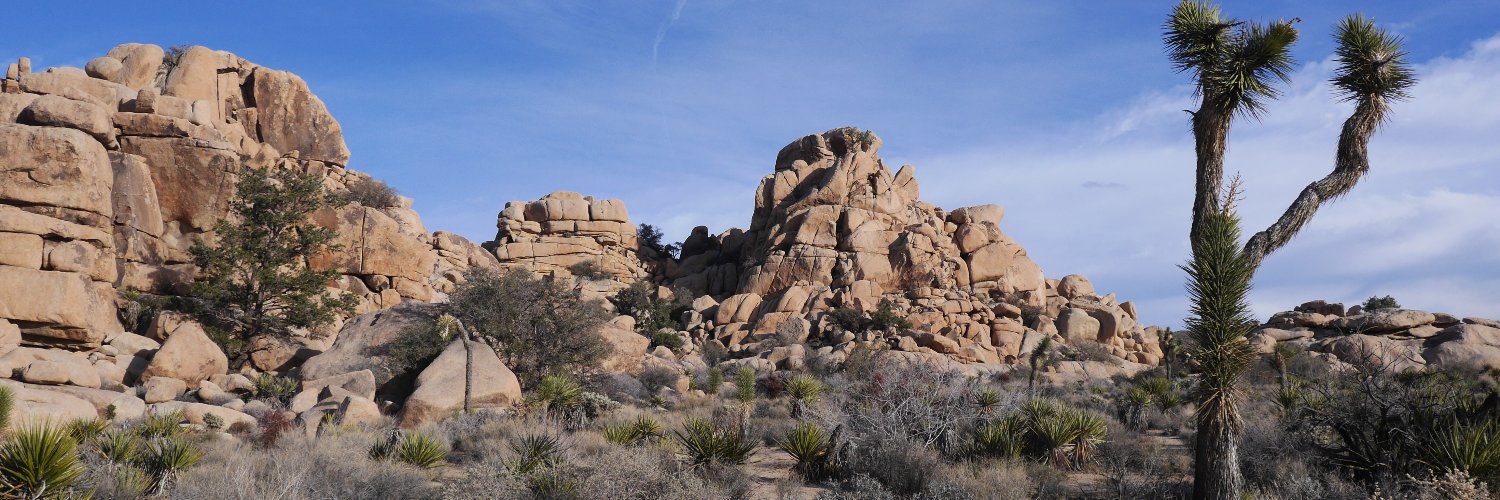 Visit 29 Palms's banner