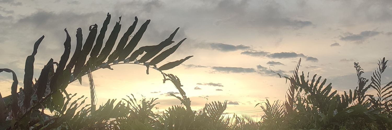 ayDani69's profile banner image