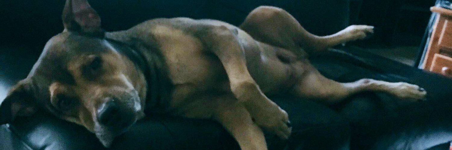 sean (now MARRIED!) banner