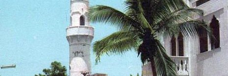 Abdurahman Hassan 🇺🇲 🇵🇸 🇺🇦 🇻🇪 🇵🇷 🇹🇷 banner