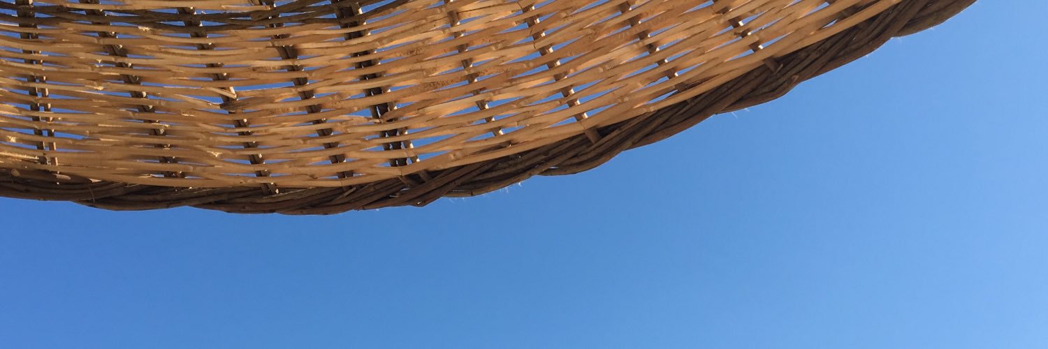 mervebenek's profile banner image