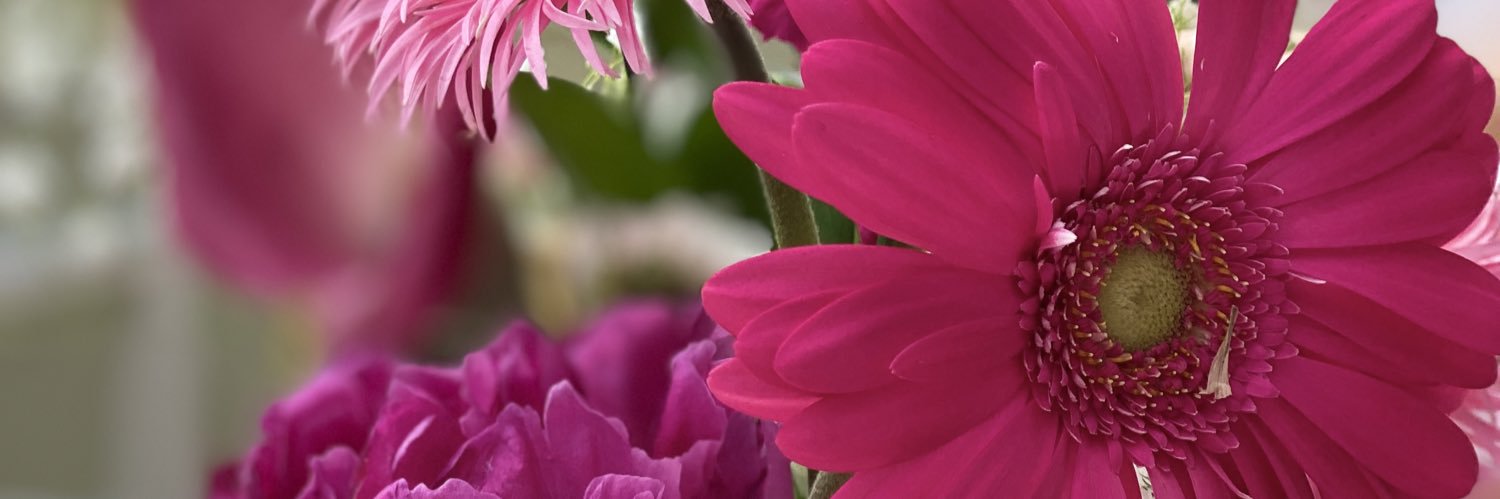 1sandyschaefer's profile banner image