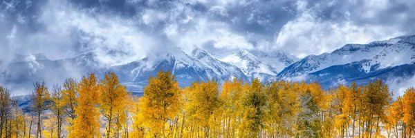 DenverDabber Profile Banner