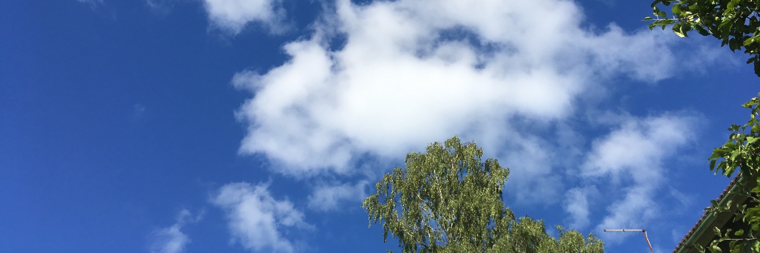 Stina Siikonen banner