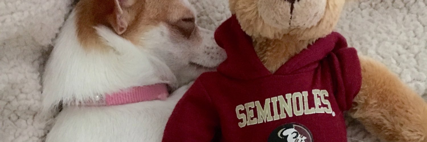 Samnodd's profile banner image
