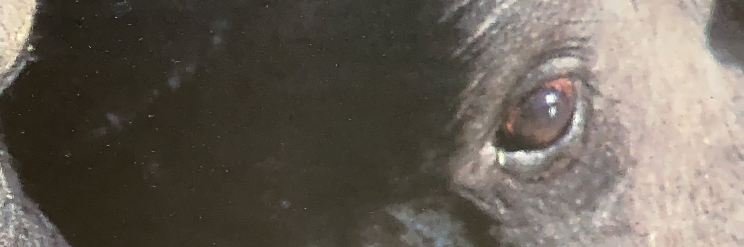 NITRAMNALA's profile banner image