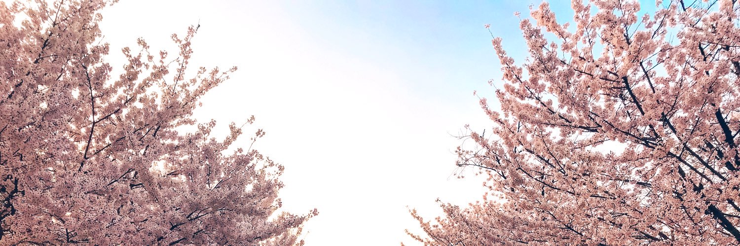 opalynee's profile banner image