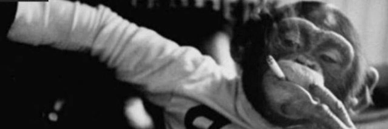 joetarek_'s profile banner image