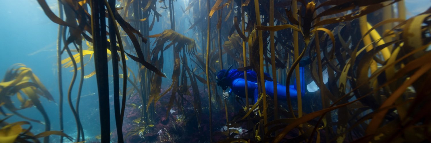 Zandile Ndhlovu banner