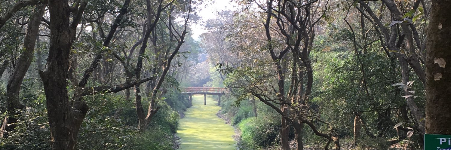 Tryambok Saha banner