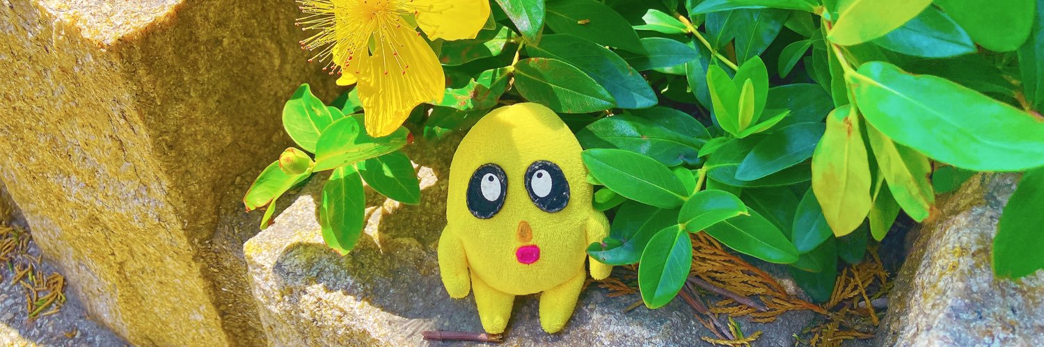 茅沼 静馬 banner