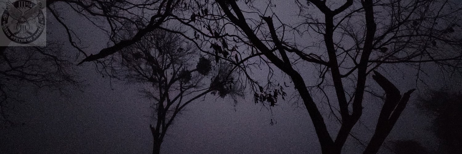 RidleyRReese's profile banner image